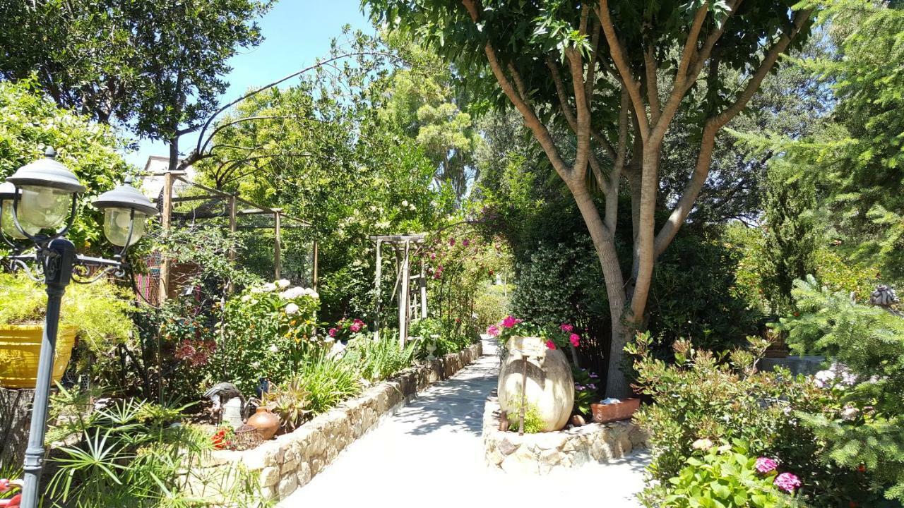 Residence Le Home Calvi  Exteriér fotografie